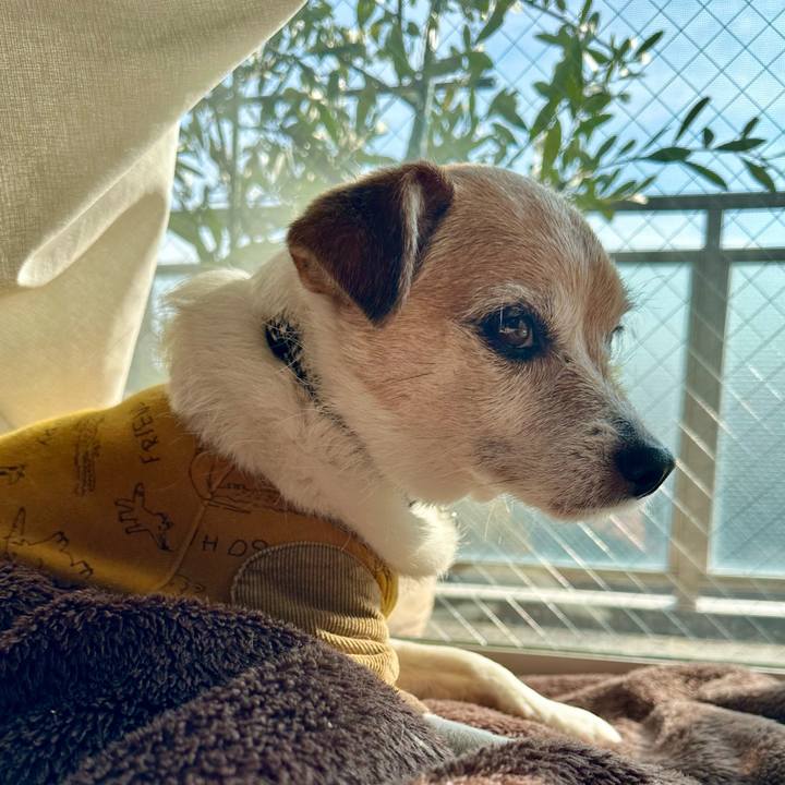 945fd760 9c89 4b90 8f3c 86cfc2578cf9 1674533405977