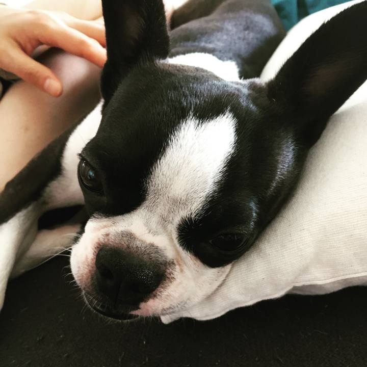 945ffc87 8c1b 4c16 843e f2433640655c 1538724755187