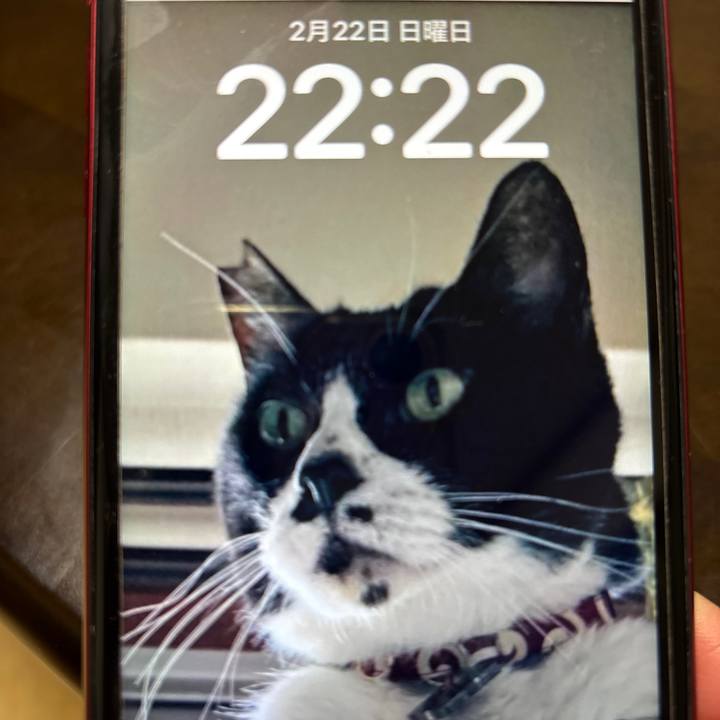 94603b67 6a7d 4201 8b20 5233253b0307 1771766621467