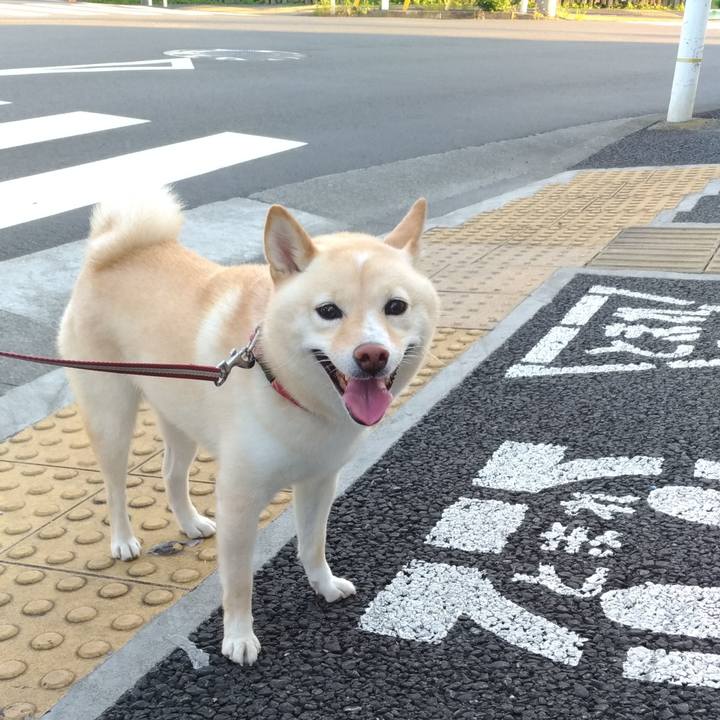 9460573c 130a 4a1e b422 9d6c76ebc369 1597872994808