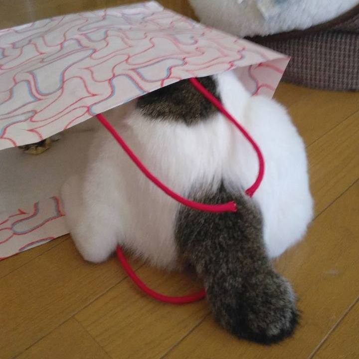 9460703e 8179 465a 8110 f1e0ddba91be 1683417781571