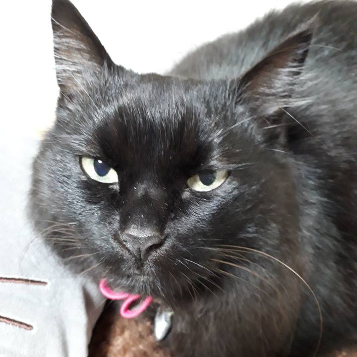 9460a29d 8bbc 4e3d aff5 655629236b8d 1517687859255