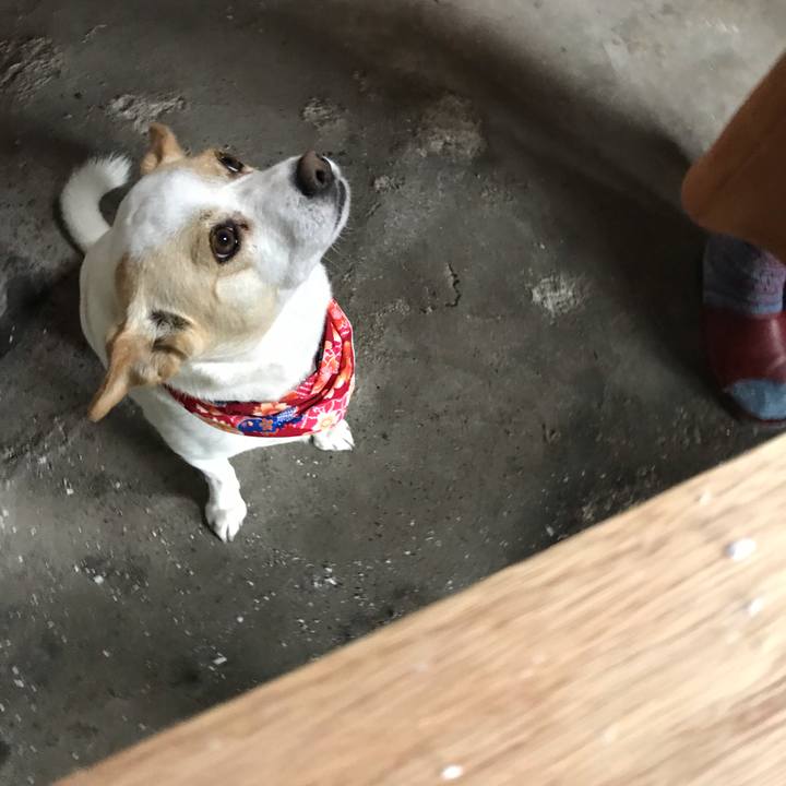 9460ae79 4e76 40b3 b01a 1cec09a504ae 1609321164053