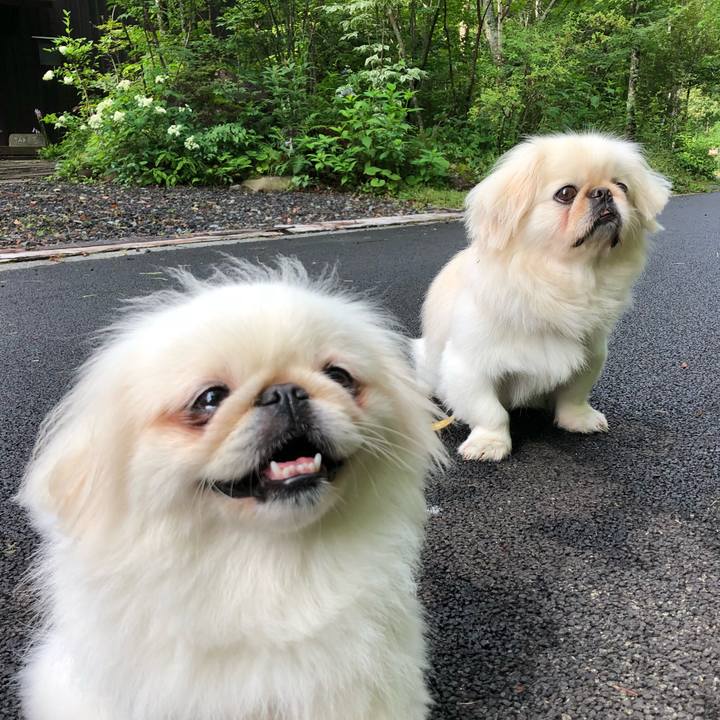 9460b5a7 d041 44db 9946 b1687cd70f11 1533991073337