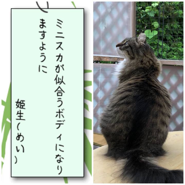 9460e207 e80b 40a5 b4aa 1224c2580fcc 1530961736429