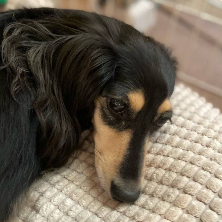 9460fe79 c2d7 4b13 b8e5 c0a578309efe 1730859407100