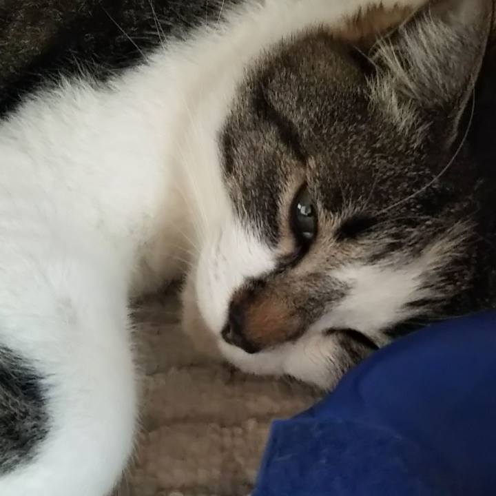 94614543 301c 487c 9d76 e7837e84df26 1621659878862