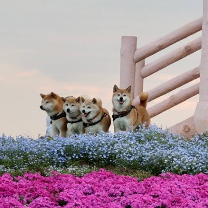 94614626 115a 45f5 aa80 735f27936479 1650382256964