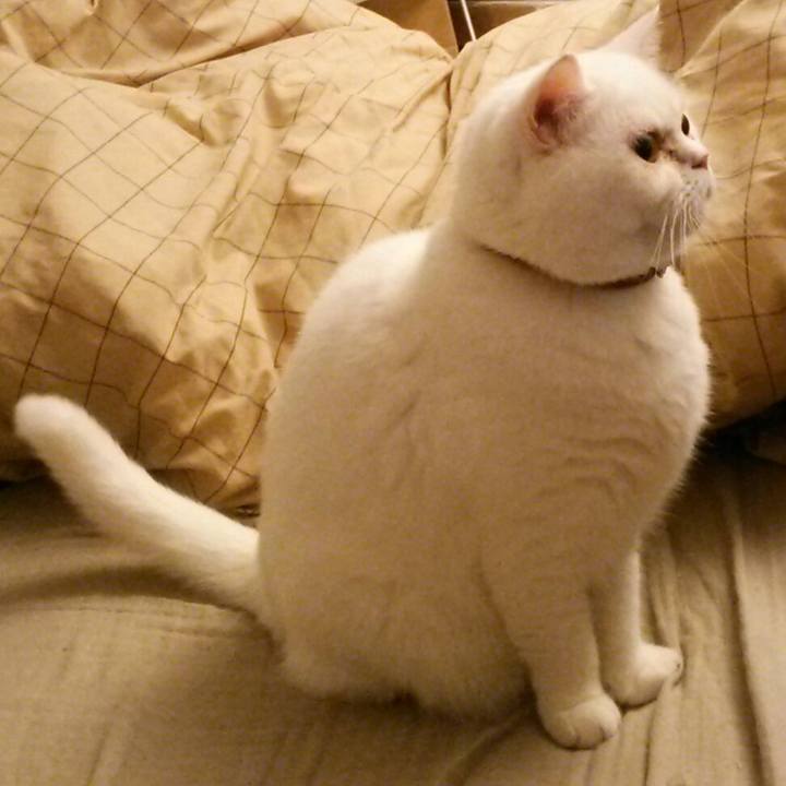 946148bc c01f 4a50 9cc2 d07943fac7b4 1508402642883