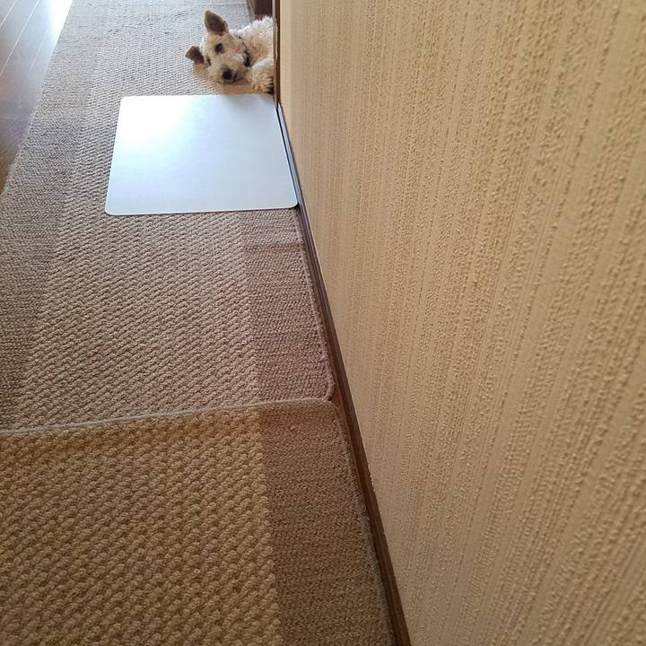 94614a52 4212 42ff bbb1 d241fdaad86d 1563373249953