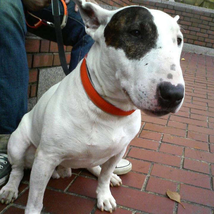 94614a60 d833 4325 a477 e3353a310a55 1509075460833