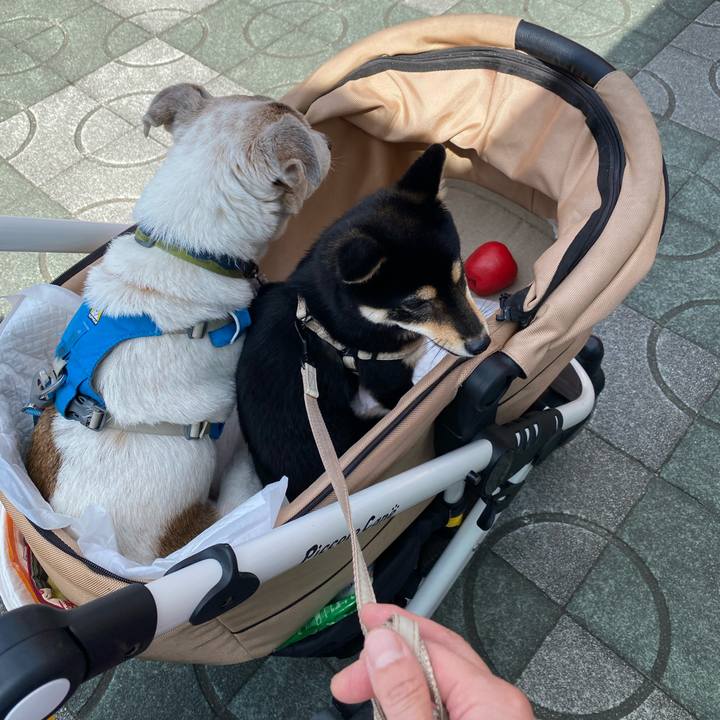 94617c50 eea8 41ec 9423 ecdbd47f8f18 1728201510787