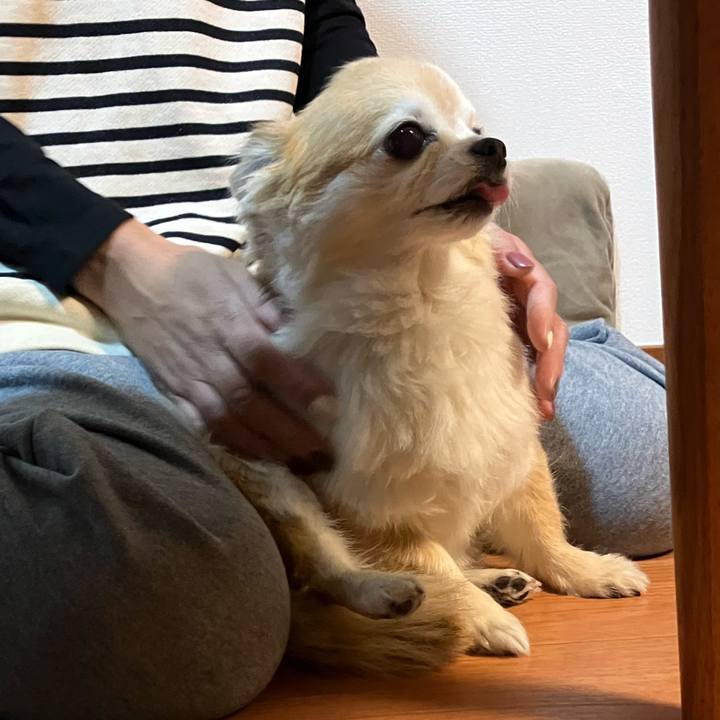 9461878a 5a54 4088 ae4e 08874c1b13d0 1767558696225