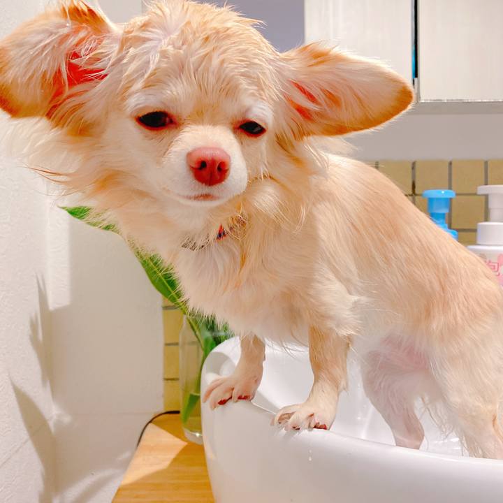 946187a6 17ac 490b bfce fed5f6b442d7 1640084440586