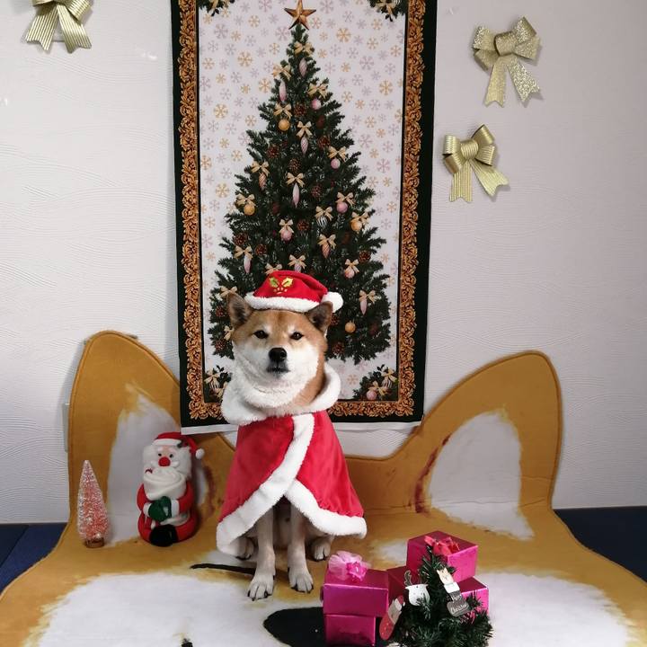 9461c93f 0aba 4b03 940b 28723dfc1598 1640330015426