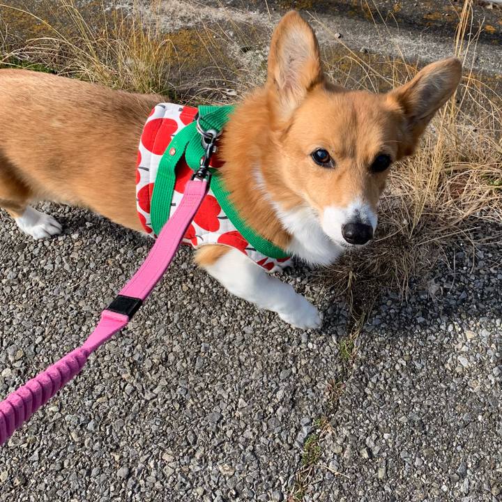 9461e536 8568 45b5 b93f 53df33868afe 1707016149072