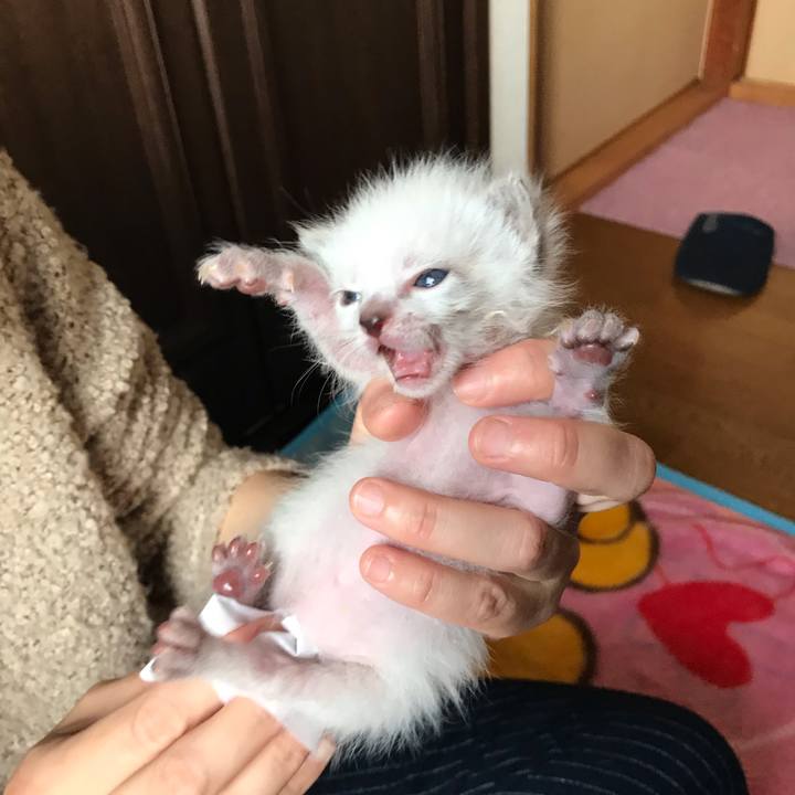 9461f83a d6c8 4fa2 8a79 f20ef282cdbe 1555635473536