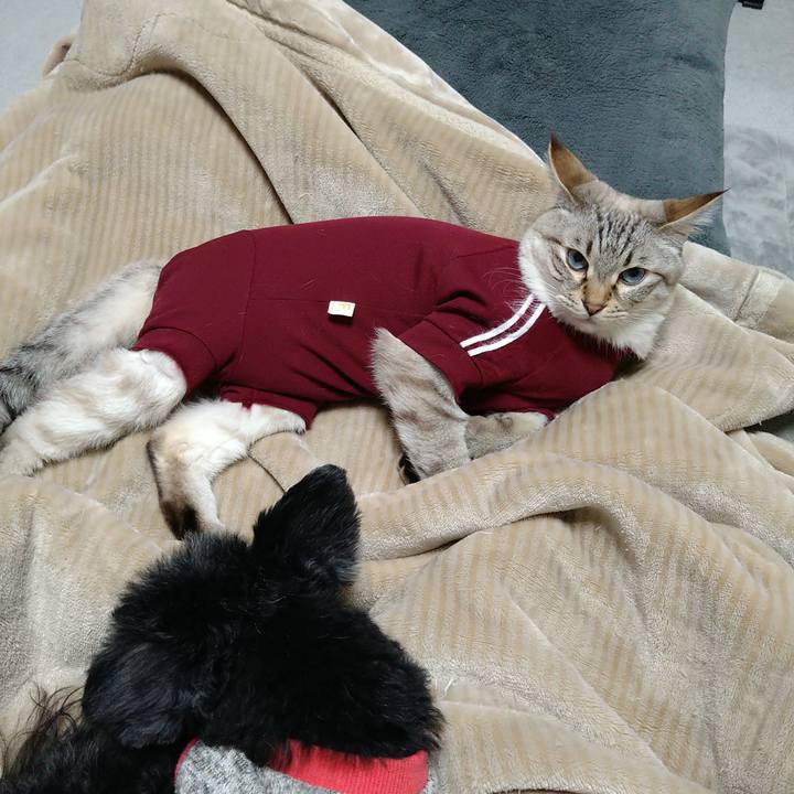 94626308 ba78 480e b199 bc5291babb7b 1706967240898