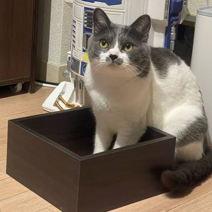 946276e6 6580 45c6 bd56 09a9f8cd4a07 1653910461564