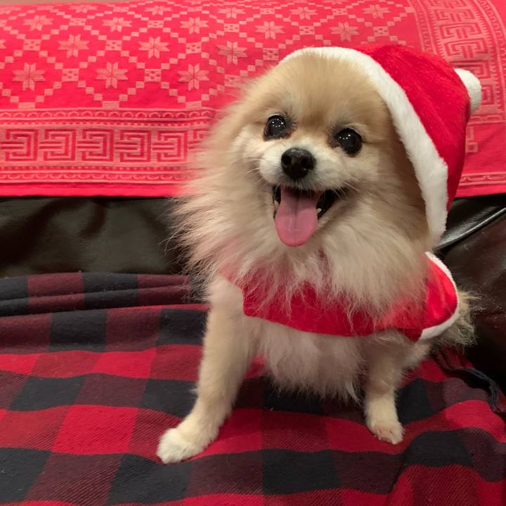 946278d9 720f 4cc1 93f9 e84d26e7204f 1640429708252