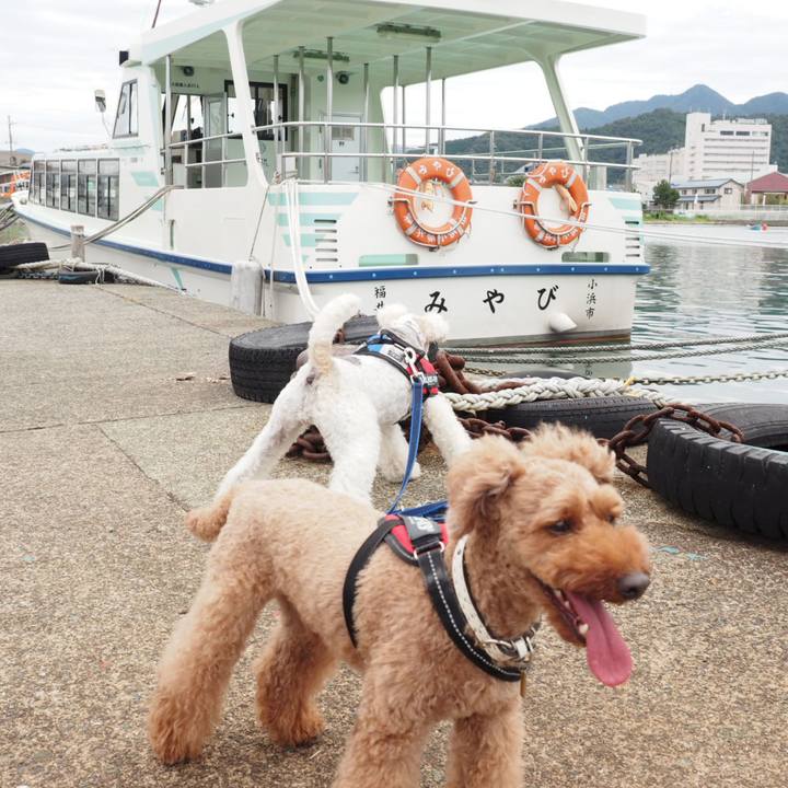 9462d60a 4e94 4b4b 8049 2ea0d74387f6 1537714651485