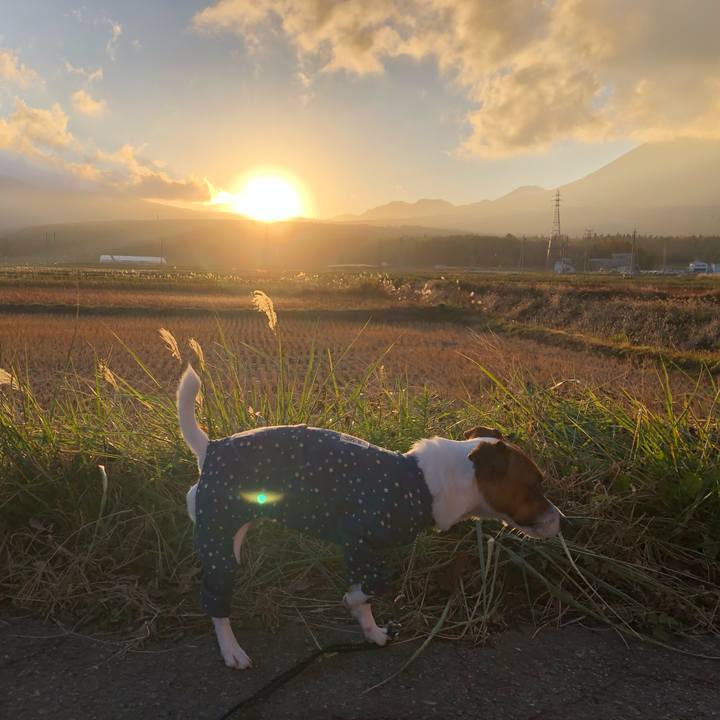 9462ea9c c991 4b63 a564 33f6c18370a2 1573549546065