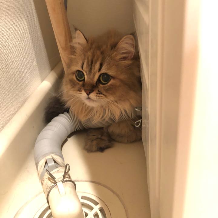 94636051 feee 404f b7cd 9d5c5d21ec43 1530933219555