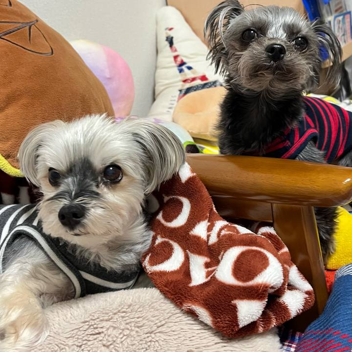 9463651d 9b7a 40e7 9d71 517155b75e9e 1772806252434