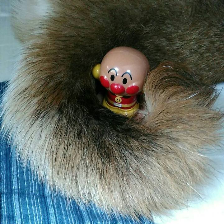 946370e4 ddb7 47f1 84ac 211a9b5534d8 1564455070456