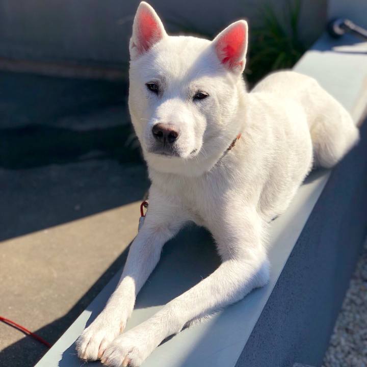 94637896 9786 4921 9513 776d4321c9a1 1548566273910