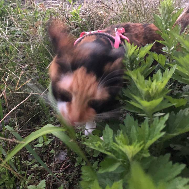 9463b794 00a5 41f8 88b3 66e5eb4c5d53 1537263295594