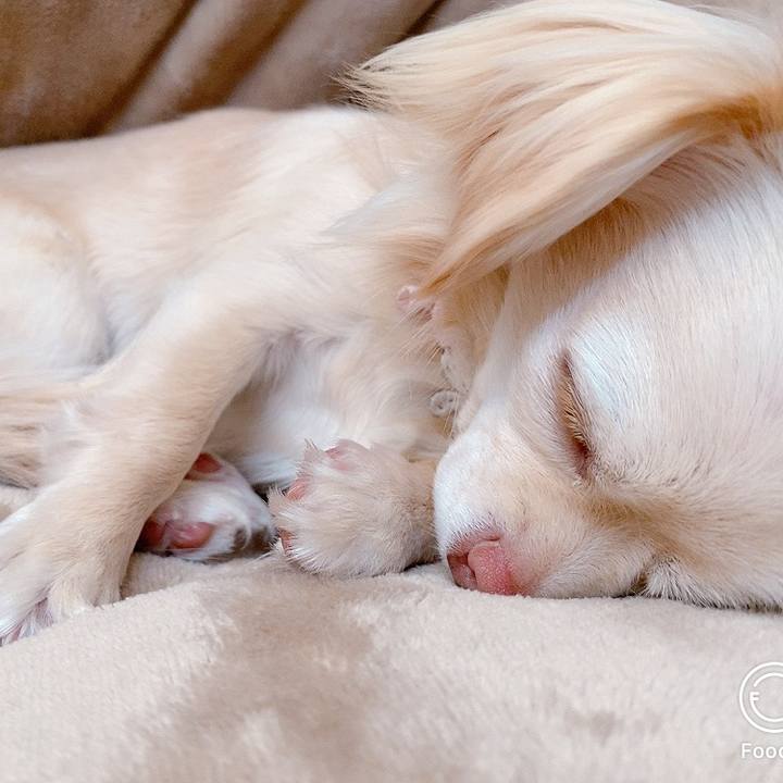 946407c6 9fc7 4e1c b4d7 583b719d4eb5 1619057042885