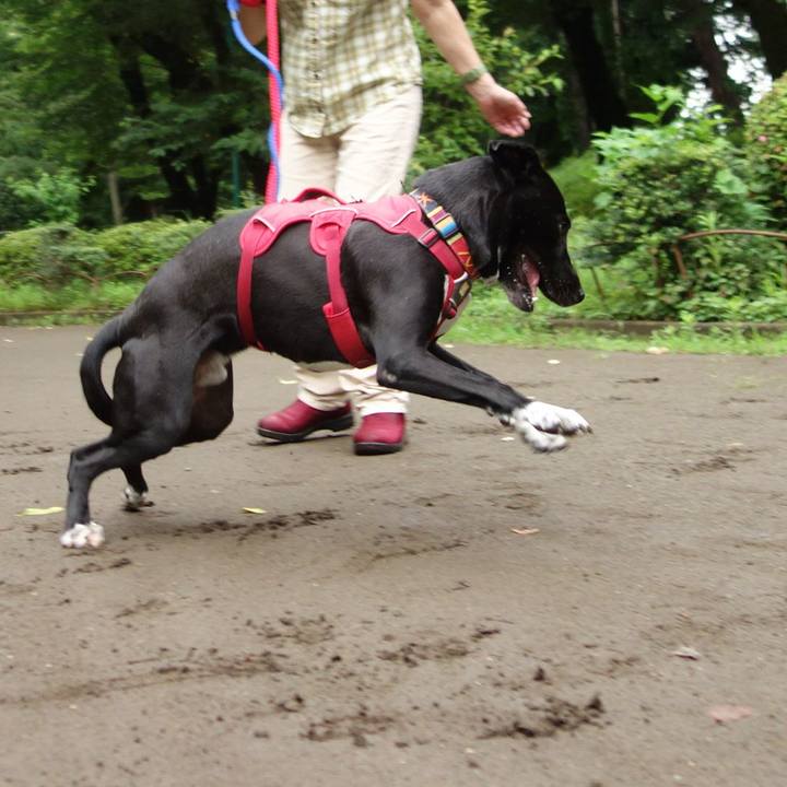 946407cb 1b8f 4d8c b5f7 3d86459fcd5d 1593561463340