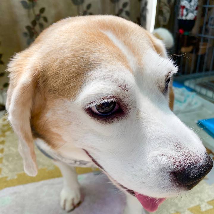 94640f9d 44df 49ec 8eaf e5cdfad0d95f 1598239998804