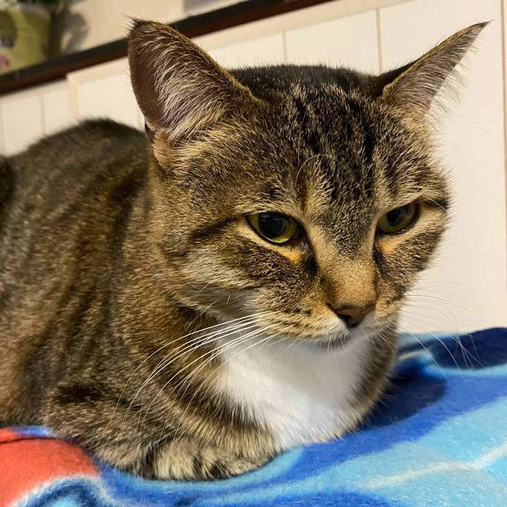 94643d9e a338 4631 982a 669645ea67a3 1638976894119