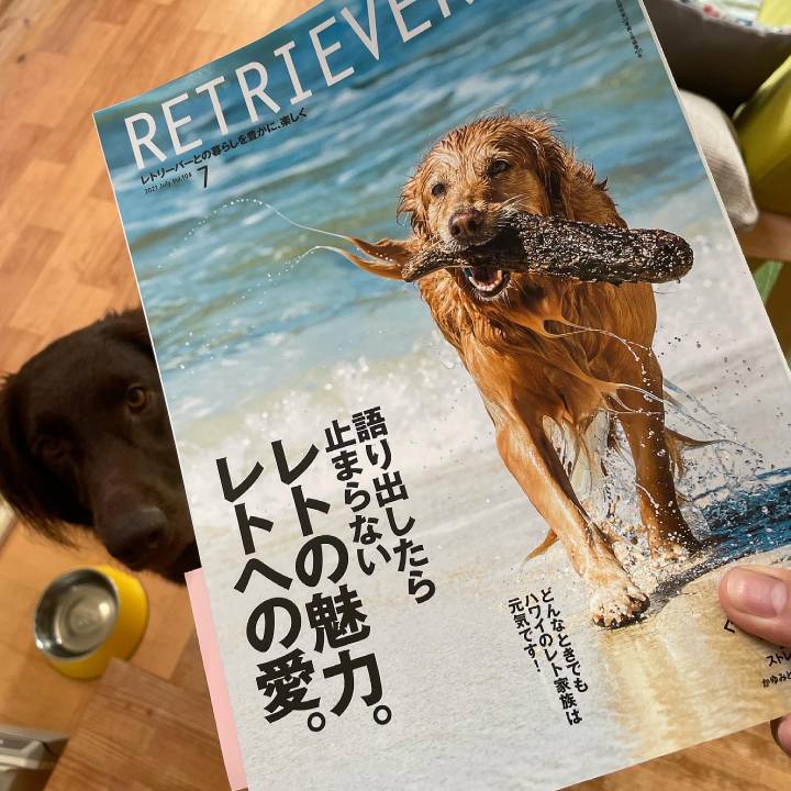 94647422 f5cc 470e 98cc c9de15b2abae 1623658348173