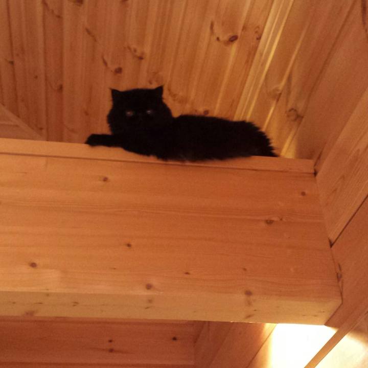 9464c487 ee8d 427d 842e 8c8013fd099f 1513255330232