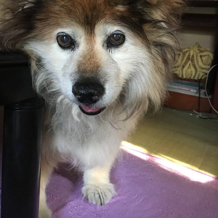 9464da2f 7ad0 4ec1 80e8 491163241d55 1589633928361