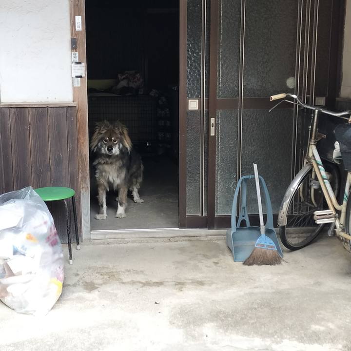 9464dafd 44cd 4cb5 ad10 f1420edb0b3f 1672382140825