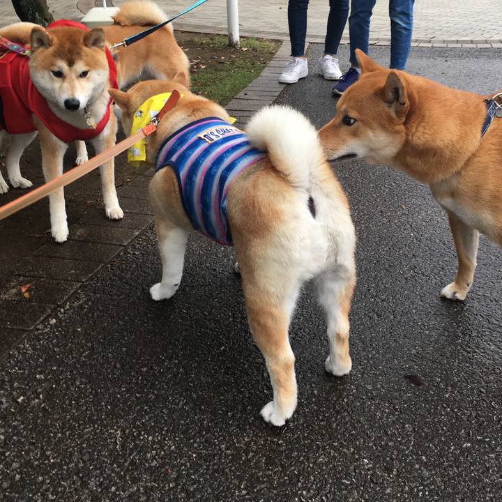 9464e72d 3b64 4b70 83da 6baf677fc8a9 1590883334840