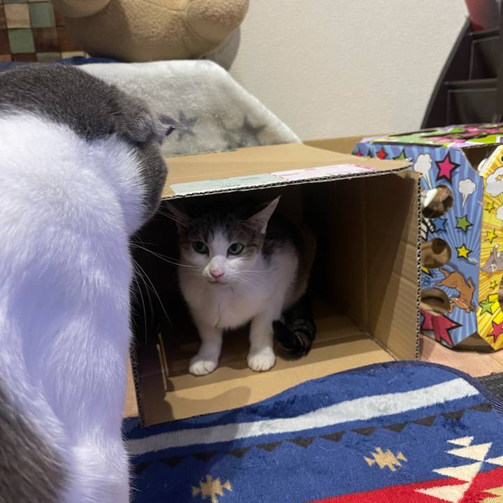 9464e958 d1e5 46c2 865b 5e64a1966bf1 1640334903281