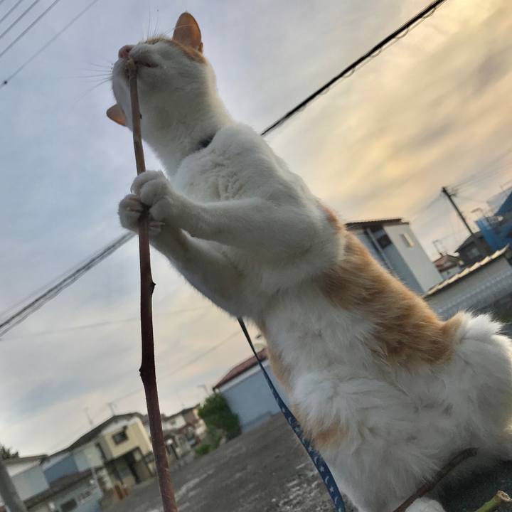 94651058 2880 42b8 9baa fe9e4b14131a 1526893807259