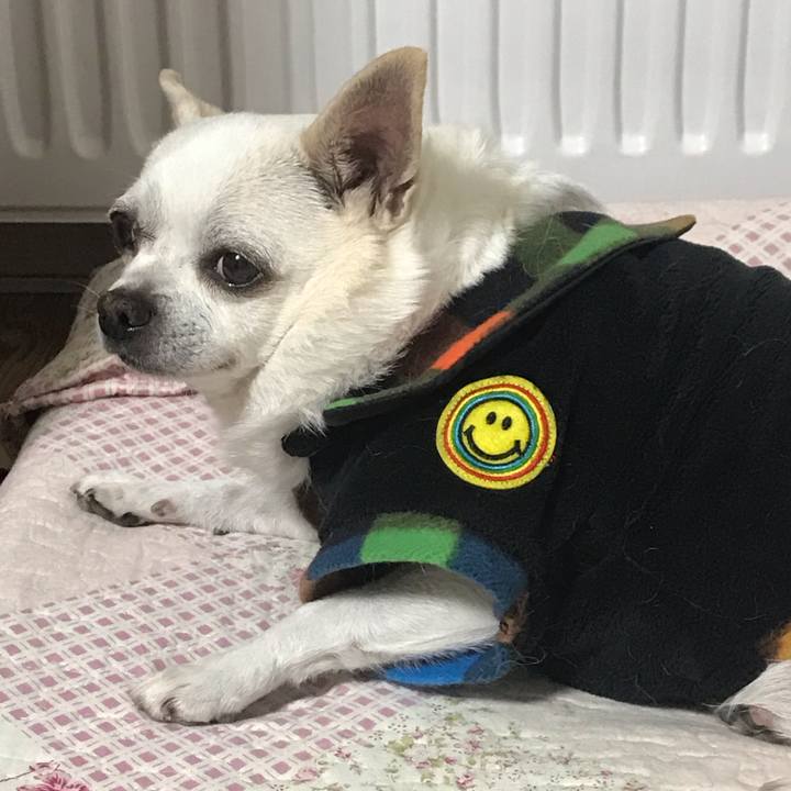 94653289 4f41 4829 bcc5 45d14352cc1a 1615290332413