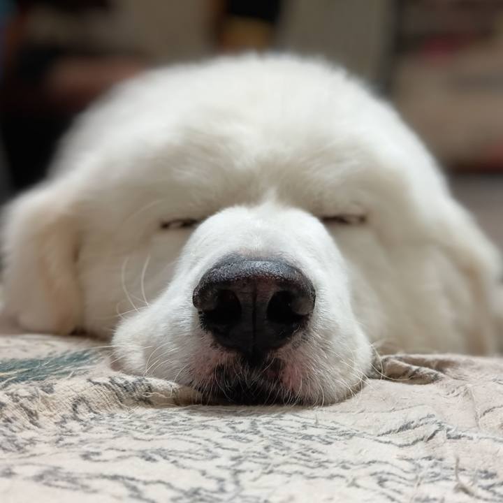 946546f6 6a08 489c aaa8 fb4ea4f1caff 1723672651770