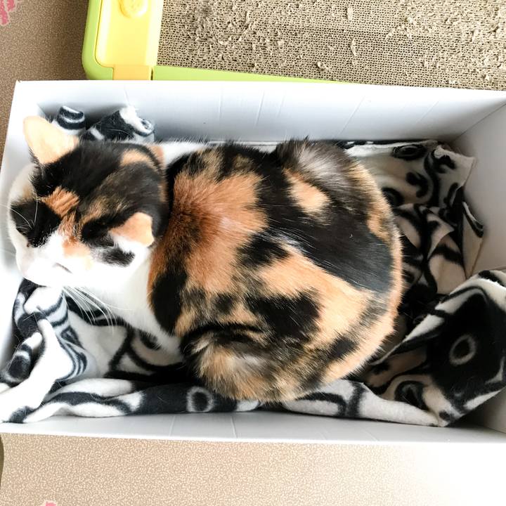 94654ffc 82d8 4129 be75 dee95b0038c4 1516334163573