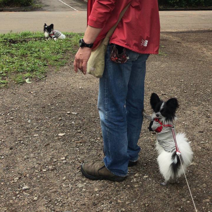 94657cc1 7e87 46d0 9c96 7a9c3bd3dc55 1528890718862