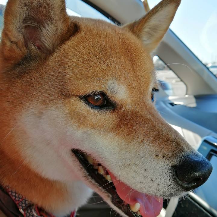 9465987d dacd 428f 8862 2ec459f3aa81 1580272178102