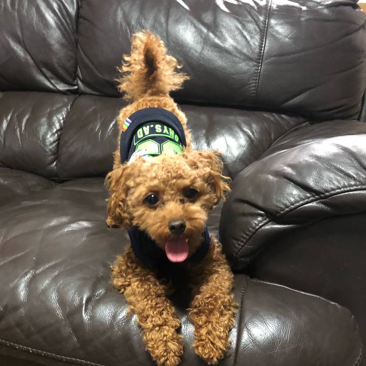 9465a4f4 238c 44cb 8d28 53591d2e3fab 1527152414394