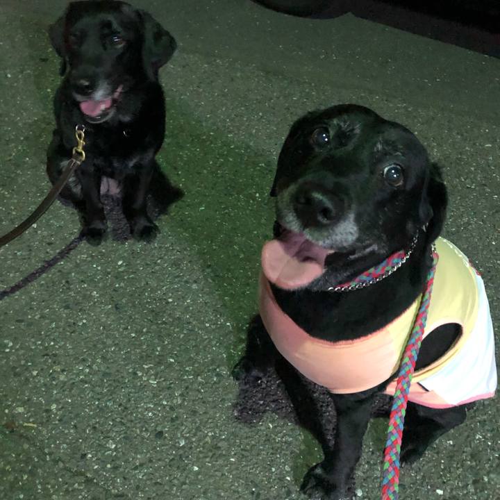 9465aded f217 4ba9 9115 6f1732cb547a 1561552454815