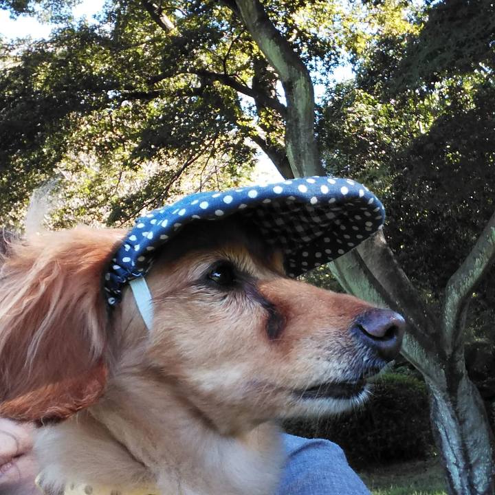 94660ce4 a629 4ab6 833f f6746f7df1ec 1601166416684